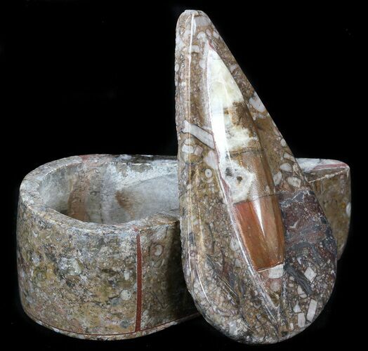 Small Fossil Orthoceras Box (Teardrop) - Stoneware #35221